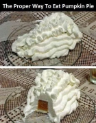 How to eat a pumpkin pie.png