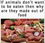 3DD7E98B-264D-45E7-BD49-FABFD811B2BD.jpeg