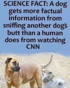 full-1515-171197-cnn.jpg