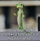 23F01D70-7838-48AB-AAD4-69867D4E688C.jpeg