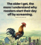 1678637670003.png
