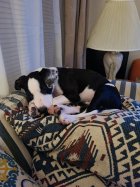 Resized952022090495205628.jpg Resized952022090495205628.jpg