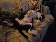 20230106_214702.jpg 20230106_214702.jpg