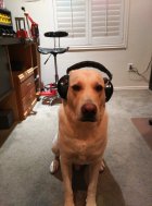 1678756617490.jpeg 1678756617490.jpeg