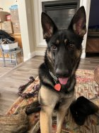 IMG_8780.jpeg IMG_8780.jpeg