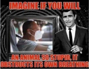 1678842731394.png