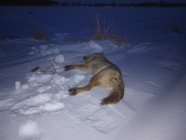 IMG_20230314_194935747.jpg