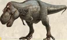T-Rex Arms.png
