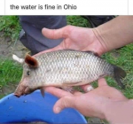 1678908588636.png