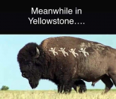 1678908783873.png