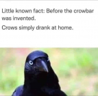 1678908826589.png