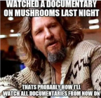 1678924542357.png