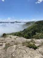 1B1B4037-1EAC-4149-BD36-74C9A31E8974.jpeg