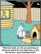 In the Doghouse.png