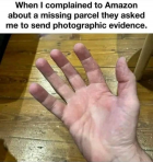 1679056540882.png