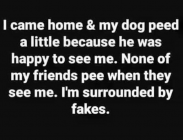 1679078245054.png