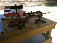 IMG_20200616_142715260.jpg