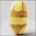 1679145704874.png