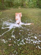 shaving creme.JPG