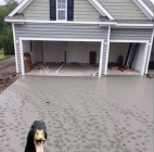 1679164179601.png