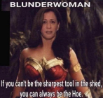 1679164325576.png