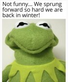 C0104130-5BE1-4D0C-ADE6-CA95D342649E.jpeg