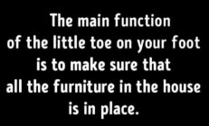 Little Toe.jpg
