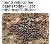 coffee.jpg