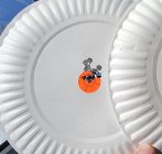 20230319_151047.jpg