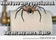 8F781E84-869D-4875-8803-2186A1EC53D5.jpeg