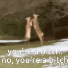 cde78b78-02d8-4f5b-aa38-01122e5953eb.gif