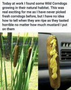 0B836D81-1E9A-47C7-BB1D-3E658C083D73.jpeg