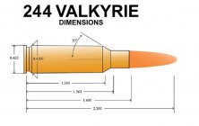 244 Valkyrie.jpg