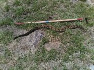 IMG_1677 snake hoe.jpg IMG_1677 snake hoe.jpg