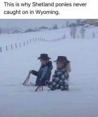 thumbnail (96).jpg