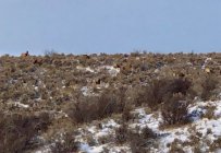 IMG_0023.jpg
