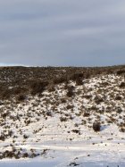 IMG_0028 - Copy.jpg