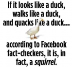 1679911932243.png