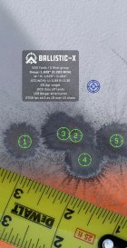 C3A0942E-2363-4306-BA63-C86F25479753.jpeg