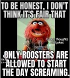 F4847BDE-FA0E-4334-A1D6-644F55F879CD.jpeg