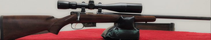 17 Hornet #2.jpg