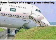 61759B76-4020-4F89-9BD1-613DE01812E8.jpeg