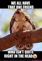 A71FE07F-003F-419E-8443-275F7DBAD051.jpeg