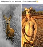 EDBE5F6C-2923-44B0-91A2-B7F7C00183E0.jpeg