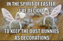 6CB4FACB-A8EB-4DDA-8450-D31659860B28.jpeg