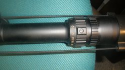 Bushnell 8-32-2.JPG