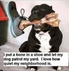 C0A947B4-F313-4056-9EE8-A92995C341EF.jpeg