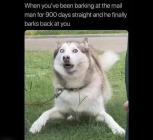 1680726188563.png