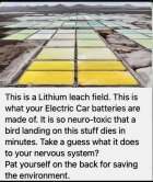 B0E04F8C-DF24-43E6-8E5E-E639AFC5BCAB.jpeg