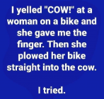1680910622982.png